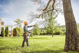 Best Tree Removal Services  in Woonsocket, RI